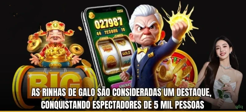 Cassino ao vivo q8q dealers